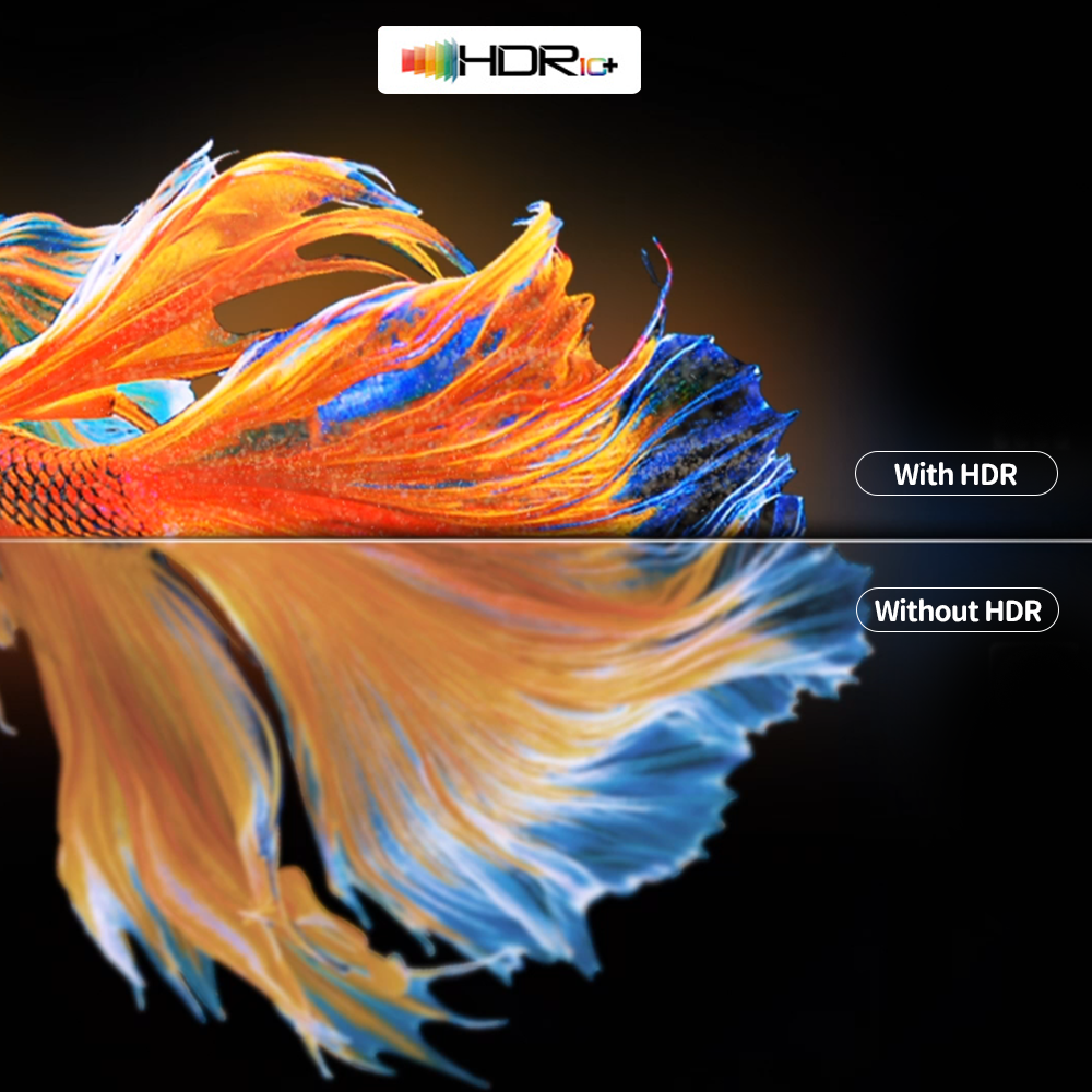 Side-by-side comparison of a colorful fish image showing HDR 10+ technology with options labeled "With HDR" and "Without HDR," highlighting the vivid color, contrast, and detail improvements provided by HDR 10+ for a stunning visual experience.